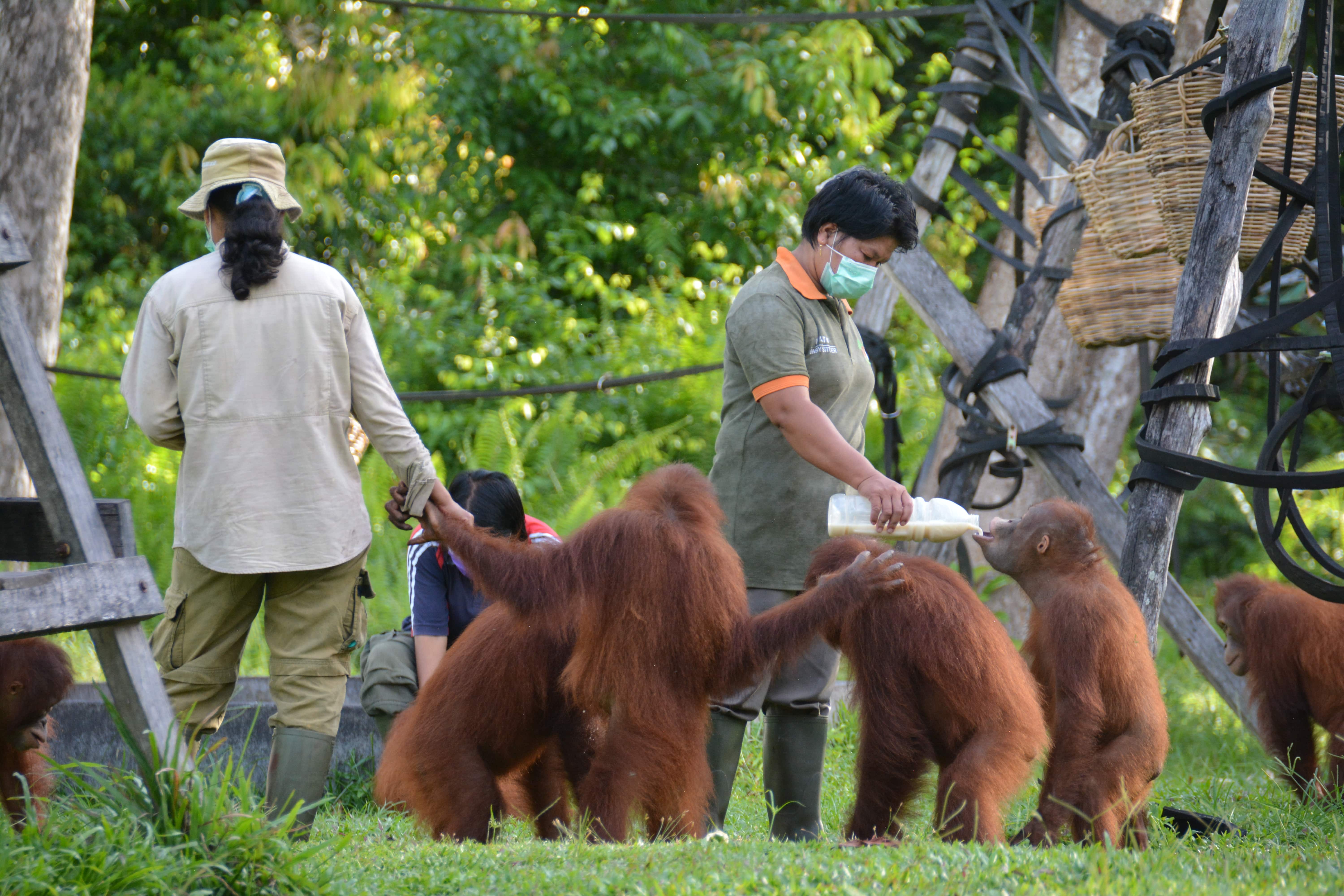 Keanekaragaman Hayati